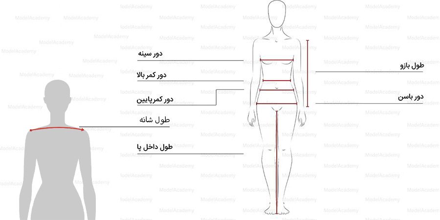 سایز های استاندارد مدلینگ
